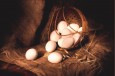 Сонник яйца и их символичность во сне