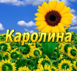 Тайна имени Каролина фото